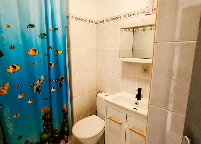 Cosy 36m2 Face A La Appartement